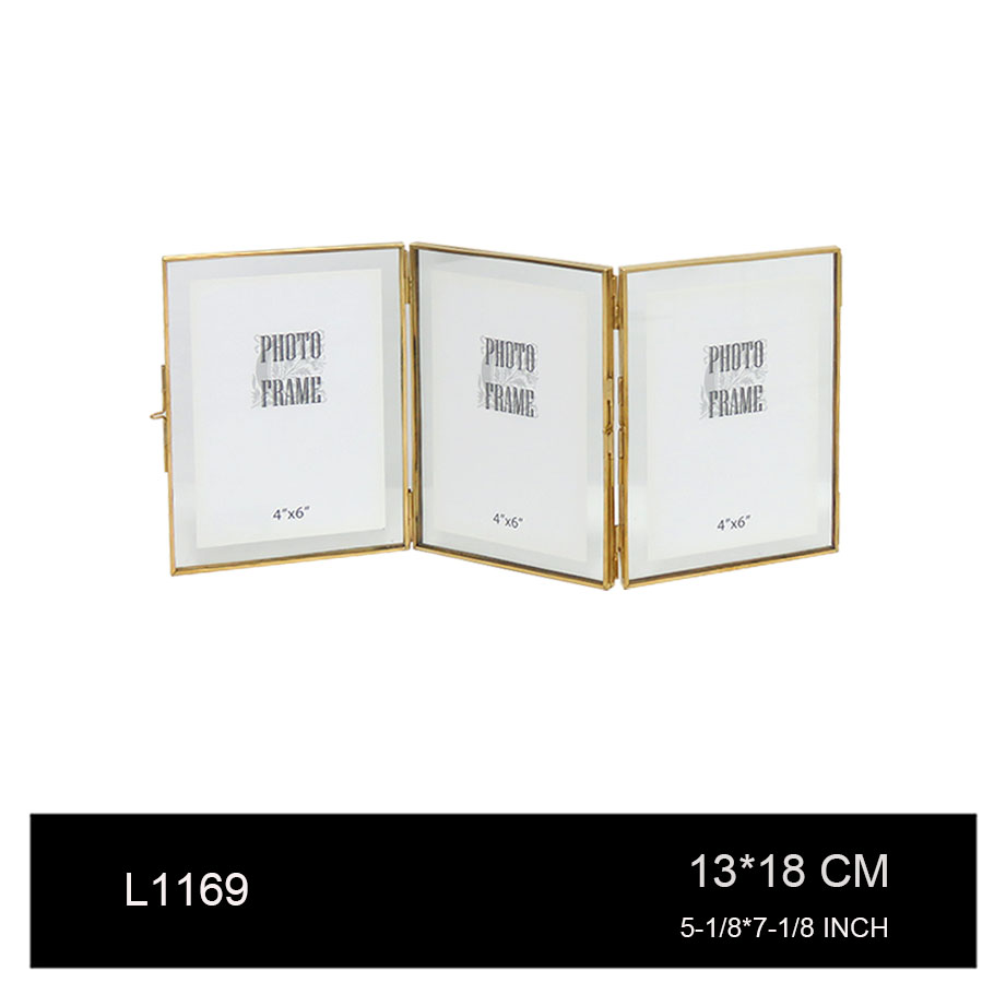 L1169